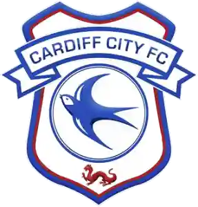 Cardiff City FC Promo Codes