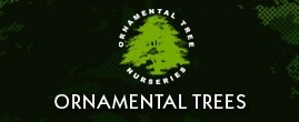  Ornamental Trees Promo Codes